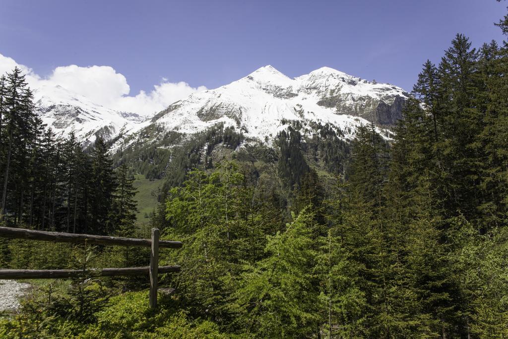 Gasthof Andrelwirt Раурис Екстериор снимка